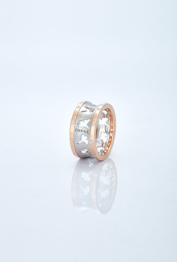 DANCE RING